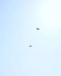 Low angle view of helicopter flying in sky