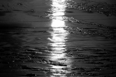 High angle view of wet swimming in sea