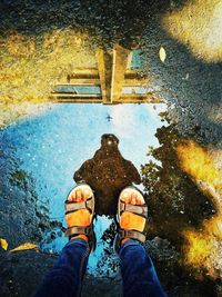 Low section of man standing by puddle on street