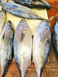 High angle view of fish for sale at market stall