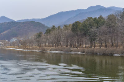 Scenic view of lake by trees against sky