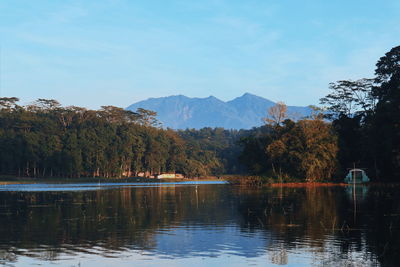 Scenic view of lake by trees against sky