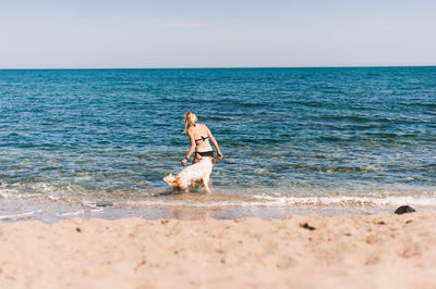 Full length of dog on beach