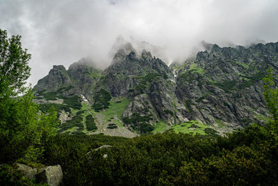 Panoramic view of trees and mountains against sky