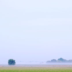 Scenic view of field against clear sky