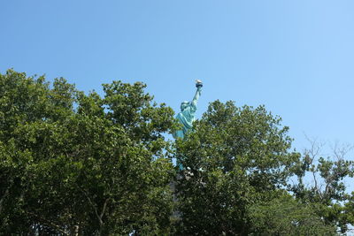 Low angle view of bird perching on tree against clear sky