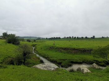 Scenic view of field against sky