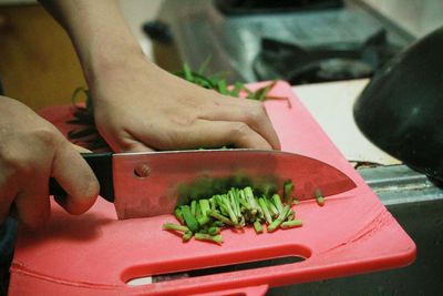 Close-up of hand holding vegetables at home
