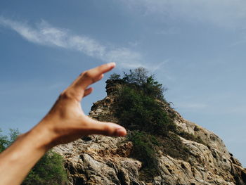 Low angle view of hand holding tree against sky