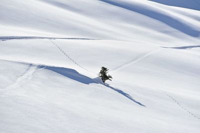 View of people skiing on snow covered field