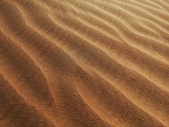 Full frame shot of sand dune