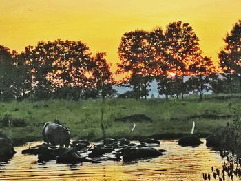 Scenic view of lake against sky during sunset