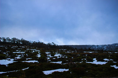 Snow covered landscape against blue sky