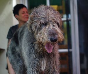 Close-up of dog sticking out tongue outdoors