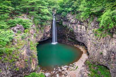 Water flowing through rocks in forest