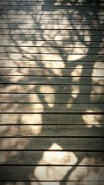 Close-up of wooden plank