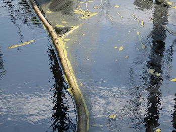 High angle view of lake