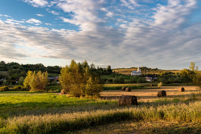 Scenic view of agricultural field against sky