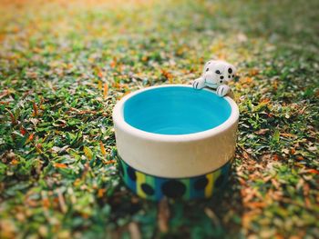 High angle view of dog on field