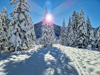 Panoramic view of snow covered mountain against sky