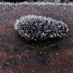 Close-up of snow on land