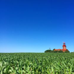 Lighthouse on grassy field against clear blue sky