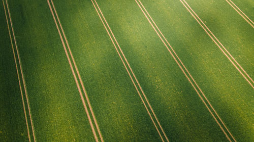 High angle view of agricultural field