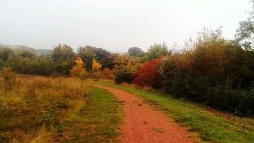 Scenic view of landscape against clear sky during autumn