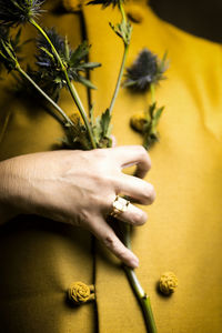 Yellow flowers and thistles near the heart ii