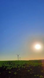 Scenic view of field against bright sun