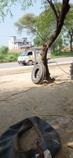 Bicycle on tree by road in city