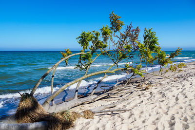 Scenic view of sea against clear blue sky