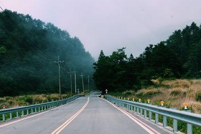 Country road along trees