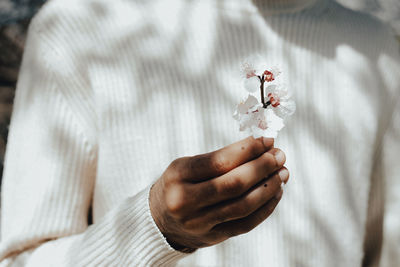 Close-up of hand holding white flower