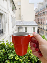 Woman holding coffee cup