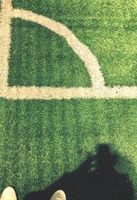 Shadow of person on grass
