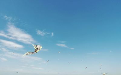 Low angle view of birds flying against blue sky