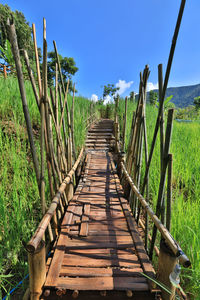 Footpath amidst trees on field against sky