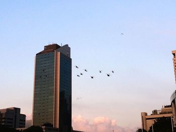 Low angle view of birds flying over buildings in city