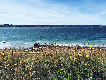 Scenic view of calm sea