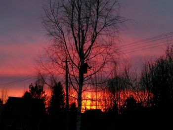 Low angle view of silhouette trees against sky during sunset