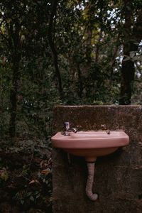 View of electric lamp and trees in the forest