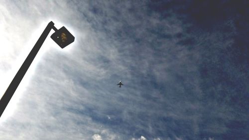 Low angle view of bird flying against sky