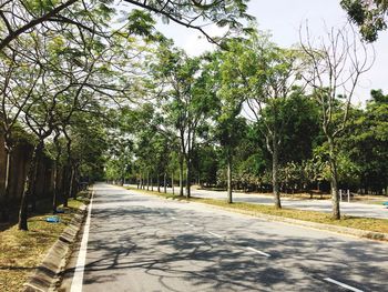 Empty road along trees