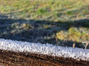 Close-up of frozen grass on field