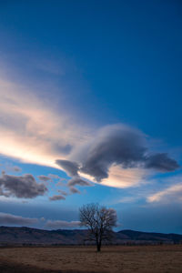 Scenic view of landscape against blue sky