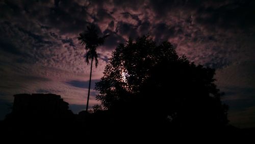 Low angle view of silhouette trees against sky at sunset