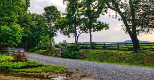 Road by trees on field against sky