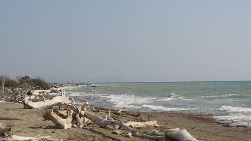 Scenic view of beach against sky