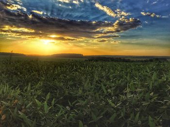 Scenic view of field against sky during sunset